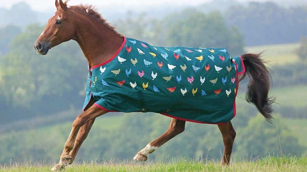 horse blanket