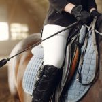 Blanket or No Blanket: Navigating Temperature Drops for Equine Comfort