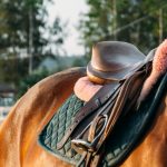 English vs. Western Saddles: Which Is Right for You?