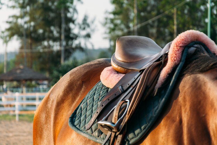 English vs. Western Saddles: Which Is Right for You?