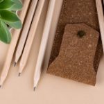 Eco-Friendly Stationery: The Future of Sustainable Writing