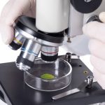 A Beginner’s Guide to Different Types of Microscopes